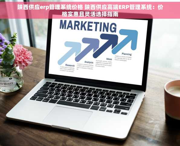 陕西供应erp管理系统价格 陕西供应高端ERP管理系统：价格实惠且灵活选择指南