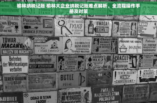 榆林纳税记账 榆林大企业纳税记账难点解析、全流程操作手册及对策
