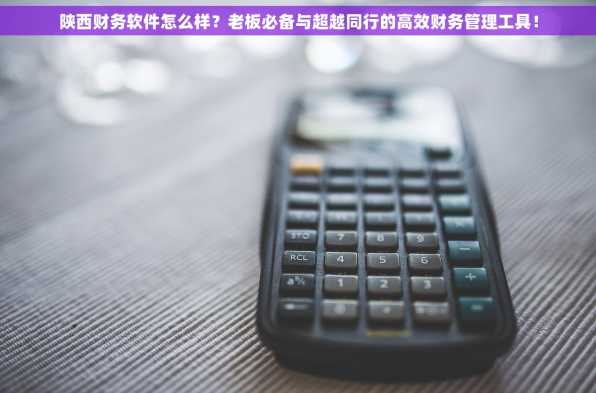 陕西财务软件怎么样？老板必备与超越同行的高效财务管理工具！