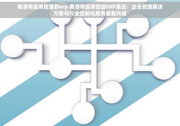 商洛带追溯管理的erp 商洛带追溯管理ERP系统：企业管理解决方案与行业定制化服务最新升级