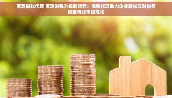 宝鸡做账代理 宝鸡财税升级新趋势：做账代理助力企业轻松应对税务稽查与账本规范化