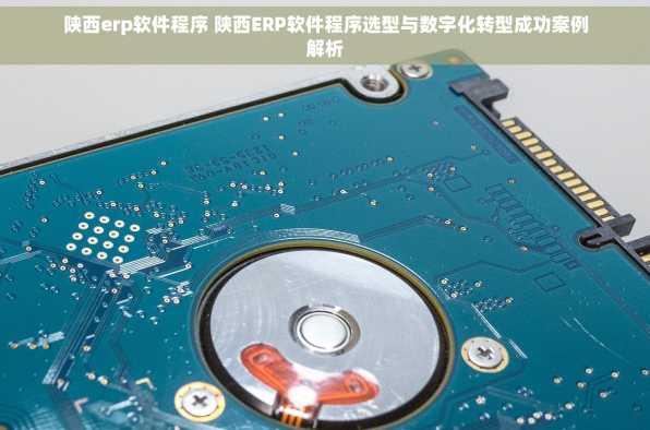 陕西erp软件程序 陕西ERP软件程序选型与数字化转型成功案例解析