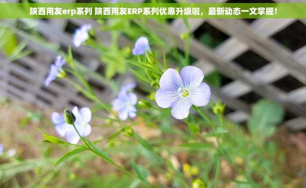 陕西用友erp系列 陕西用友ERP系列优惠升级啦，最新动态一文掌握！