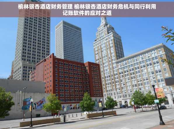 榆林银杏酒店财务管理 榆林银杏酒店财务危机与同行利用记账软件的应对之道