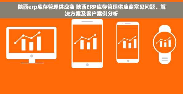 陕西erp库存管理供应商 陕西ERP库存管理供应商常见问题、解决方案及客户案例分析