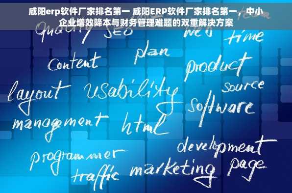 咸阳erp软件厂家排名第一 咸阳ERP软件厂家排名第一，中小企业增效降本与财务管理难题的双重解决方案