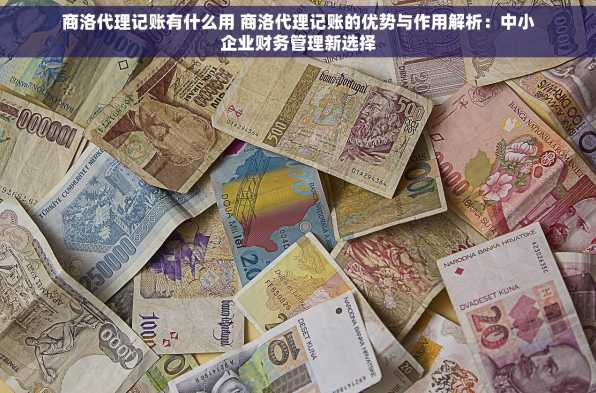 商洛代理记账有什么用 商洛代理记账的优势与作用解析：中小企业财务管理新选择