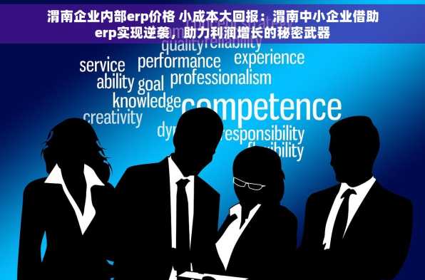 渭南企业内部erp价格 小成本大回报：渭南中小企业借助erp实现逆袭，助力利润增长的秘密武器