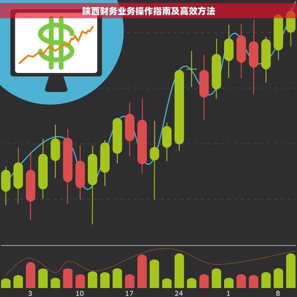 陕西财务业务操作指南及高效方法