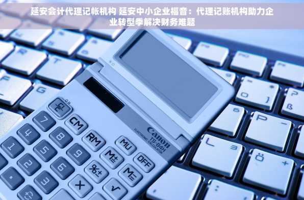 延安会计代理记帐机构 延安中小企业福音：代理记账机构助力企业转型季解决财务难题