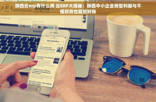 陕西云erp有什么用 云ERP大揭秘：陕西中小企业转型利器与不懂财务也能管好账