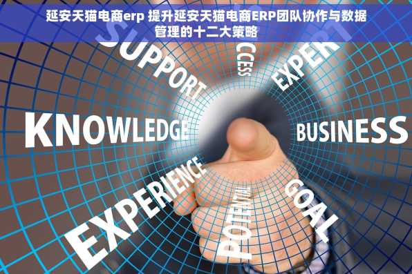 延安天猫电商erp 提升延安天猫电商ERP团队协作与数据管理的十二大策略