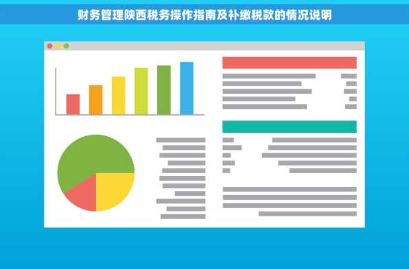 财务管理陕西税务操作指南及补缴税款的情况说明