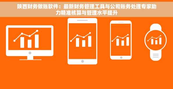 陕西财务做账软件：最新财务管理工具与公司账务处理专家助力精准核算与管理水平提升