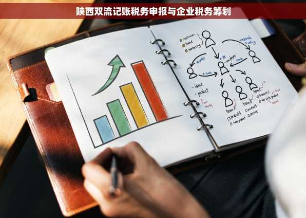 陕西双流记账税务申报与企业税务筹划