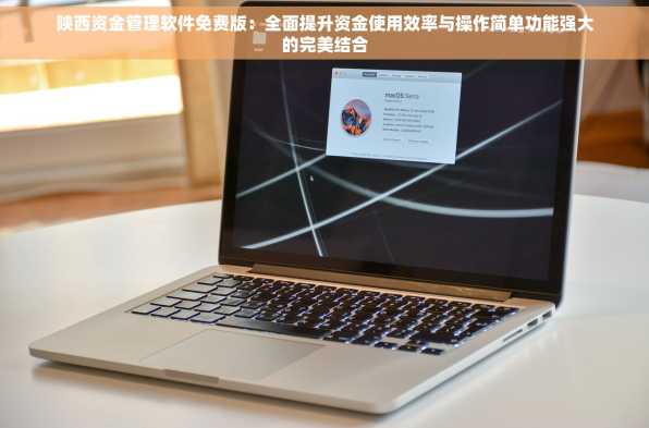 陕西资金管理软件免费版：全面提升资金使用效率与操作简单功能强大的完美结合