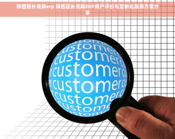 陕西延长壳牌erp 陕西延长壳牌ERP用户评价与定制化服务方案分享