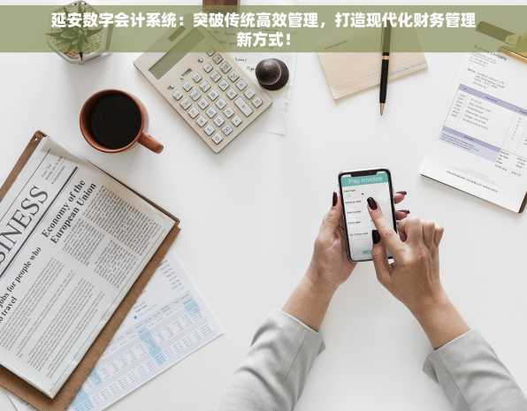 延安数字会计系统：突破传统高效管理，打造现代化财务管理新方式！
