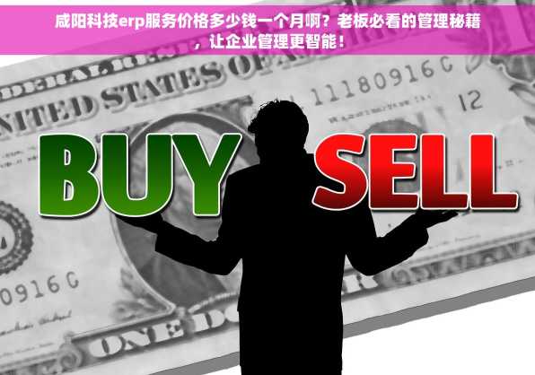 咸阳科技erp服务价格多少钱一个月啊？老板必看的管理秘籍，让企业管理更智能！