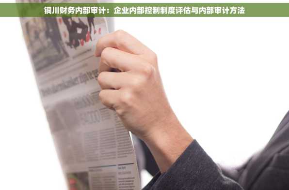 铜川财务内部审计：企业内部控制制度评估与内部审计方法