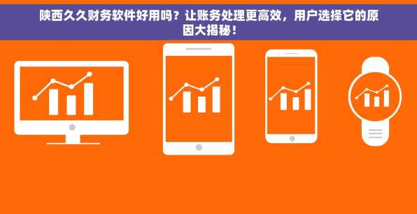 陕西久久财务软件好用吗？让账务处理更高效，用户选择它的原因大揭秘！