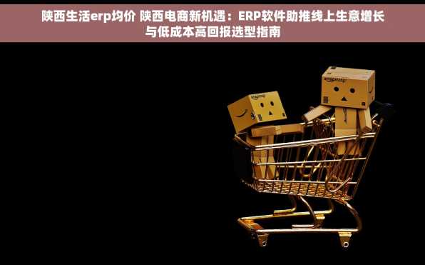 陕西生活erp均价 陕西电商新机遇：ERP软件助推线上生意增长与低成本高回报选型指南