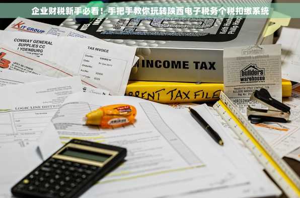 企业财税新手必看！手把手教你玩转陕西电子税务个税扣缴系统