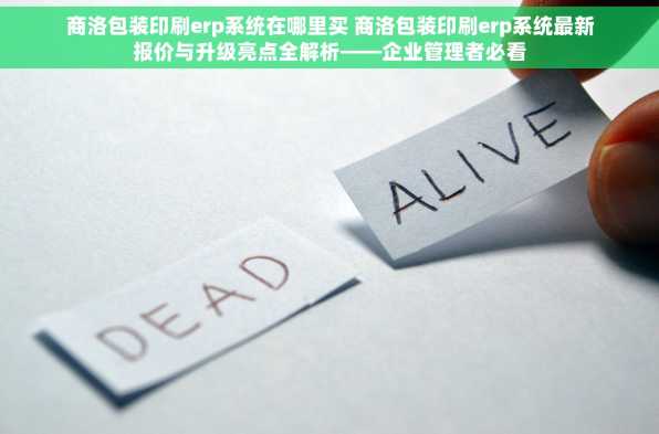 商洛包装印刷erp系统在哪里买 商洛包装印刷erp系统最新报价与升级亮点全解析——企业管理者必看