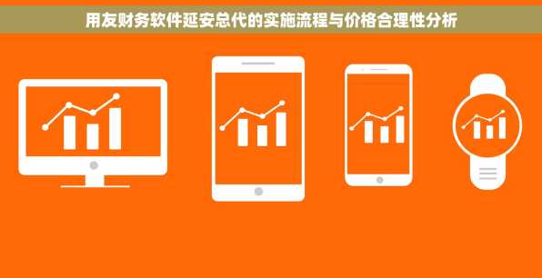 用友财务软件延安总代的实施流程与价格合理性分析