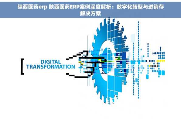 陕西医药erp 陕西医药ERP案例深度解析：数字化转型与进销存解决方案
