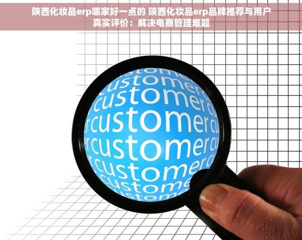 陕西化妆品erp哪家好一点的 陕西化妆品erp品牌推荐与用户真实评价：解决电商管理难题