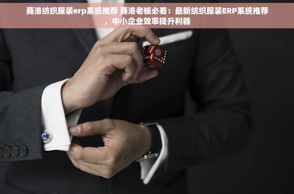 商洛纺织服装erp系统推荐 商洛老板必看：最新纺织服装ERP系统推荐，中小企业效率提升利器