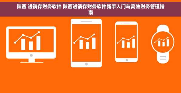 陕西 进销存财务软件 陕西进销存财务软件新手入门与高效财务管理指南