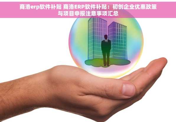 商洛erp软件补贴 商洛ERP软件补贴：初创企业优惠政策与项目申报注意事项汇总