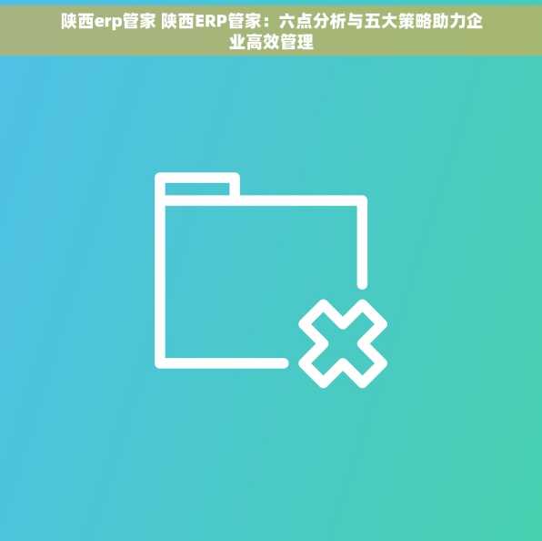 陕西erp管家 陕西ERP管家：六点分析与五大策略助力企业高效管理