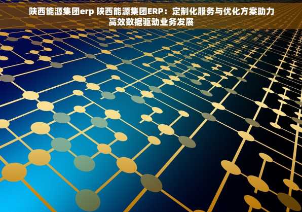 陕西能源集团erp 陕西能源集团ERP：定制化服务与优化方案助力高效数据驱动业务发展