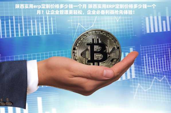 陕西实用erp定制价格多少钱一个月 陕西实用ERP定制价格多少钱一个月？让企业管理更轻松，企业必备利器抢先体验！