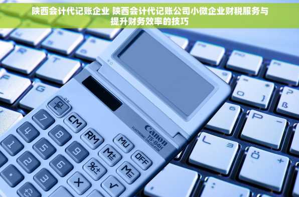 陕西会计代记账企业 陕西会计代记账公司小微企业财税服务与提升财务效率的技巧