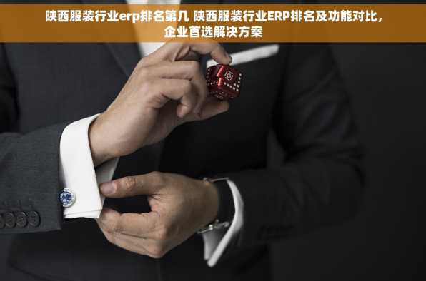 陕西服装行业erp排名第几 陕西服装行业ERP排名及功能对比，企业首选解决方案
