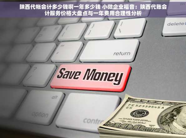 陕西代帐会计多少钱啊一年多少钱 小微企业福音：陕西代账会计服务价格大盘点与一年费用合理性分析