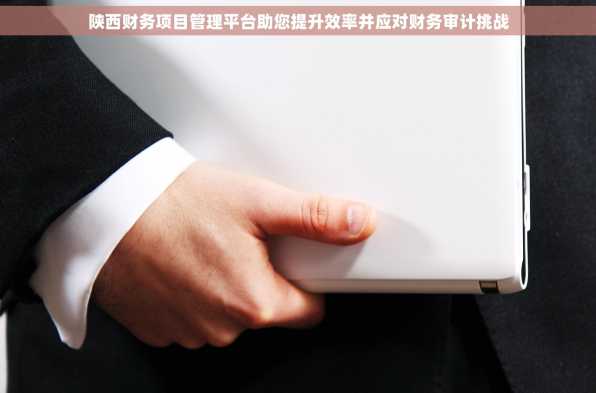 陕西财务项目管理平台助您提升效率并应对财务审计挑战