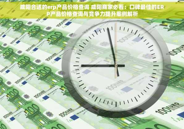 咸阳合适的erp产品价格查询 咸阳商家必看：口碑最佳的ERP产品价格查询与竞争力提升案例解析