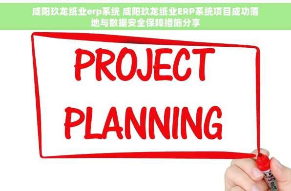 咸阳玖龙纸业erp系统 咸阳玖龙纸业ERP系统项目成功落地与数据安全保障措施分享