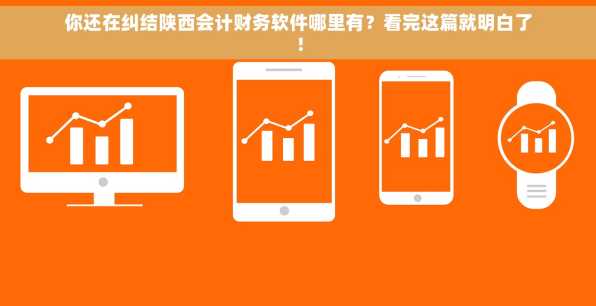 你还在纠结陕西会计财务软件哪里有？看完这篇就明白了！
