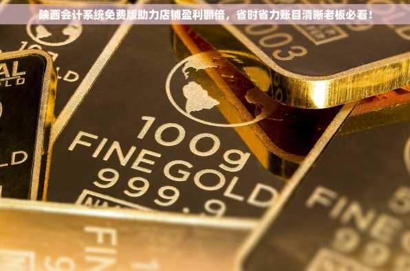 陕西会计系统免费版助力店铺盈利翻倍，省时省力账目清晰老板必看！