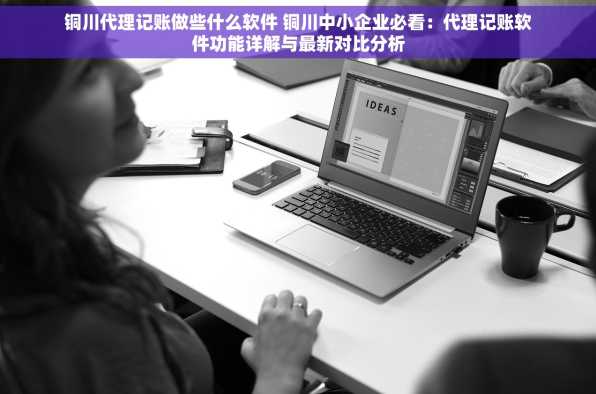 铜川代理记账做些什么软件 铜川中小企业必看：代理记账软件功能详解与最新对比分析