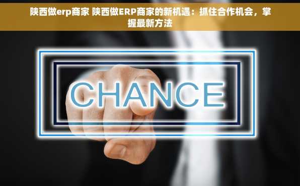陕西做erp商家 陕西做ERP商家的新机遇：抓住合作机会，掌握最新方法