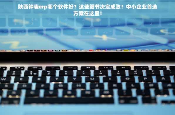 陕西钟表erp哪个软件好？这些细节决定成败！中小企业首选方案在这里！