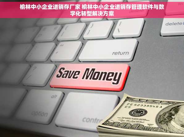 榆林中小企业进销存厂家 榆林中小企业进销存管理软件与数字化转型解决方案