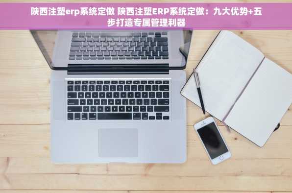 陕西注塑erp系统定做 陕西注塑ERP系统定做：九大优势+五步打造专属管理利器